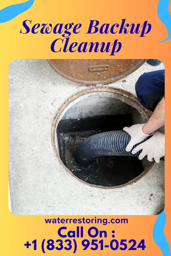 Sewage Backup Cleanup in Iron Mountain, MI